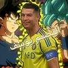 cr_sl8