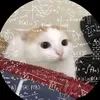 diepcapica
