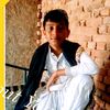 hashimmuhammad976