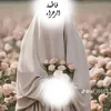 shima.dakhil