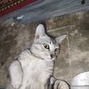 luthy755