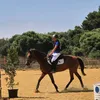marperonodemar12
