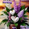 norazahmohdnor6
