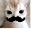_kthscthu45