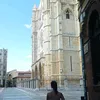indi__.11
