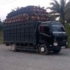 sengkuni.teamm