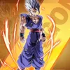 id.zyon.209