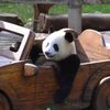 sweetpandashop