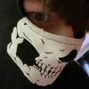 masked_bloodhound