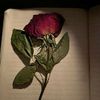 user97998802296661