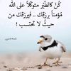 user8290818622690