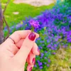 bshra9644