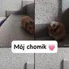 marcelinka.01.cho