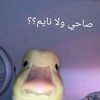 abdo123230