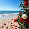 user9785071969