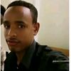 mohammedsherif6844