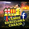Vamos Barcelona Carajo