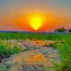 pindawale_x_toba