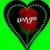 user92250683840622