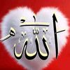 user63404340869112