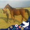 user9612846792691