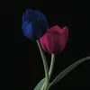 sad_time44