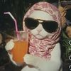 qiratshaikh27