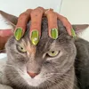 notsandragoldberg