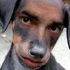 soy_un_buen_compa