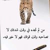 user4859326080766