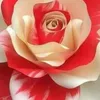 hanan.hanan3922