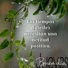 nayelyflores83