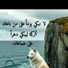 ahmedahmed254378
