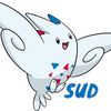 Sud_garcia