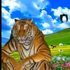 toetickler427