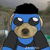 pepe62572