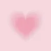 mydaily549