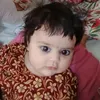 sayed.wali12shah