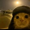 gatito._gamer