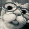 ikeyyyyyyyy._