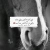 alivi689