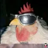 paulinzxx33
