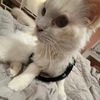 who_is_minnieee