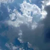 g122117