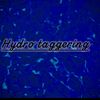 hydro_tag0
