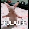 iqbal_afrz