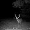 big_boy7871