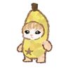 pacarr_yoshinorii