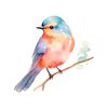 birds.munch