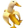 duckman755